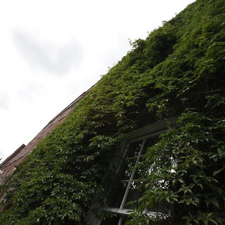 Mec Hostel Dublin Kültér fotó