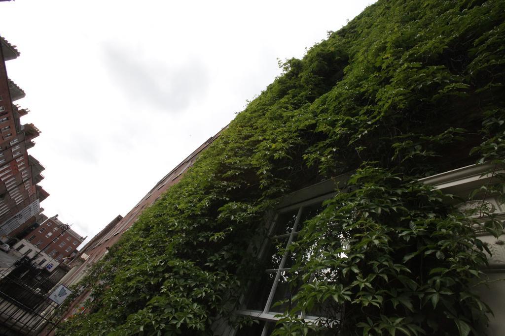 Mec Hostel Dublin Kültér fotó